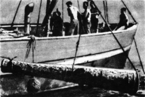 Пушка с Батавии была поднята в 1963 году после 334летнего пребывания на дне - фото 74