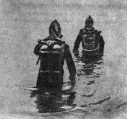 В глубинах Светлояра водолазы нашли остатки леса некогда опустившиеся на дно - фото 105