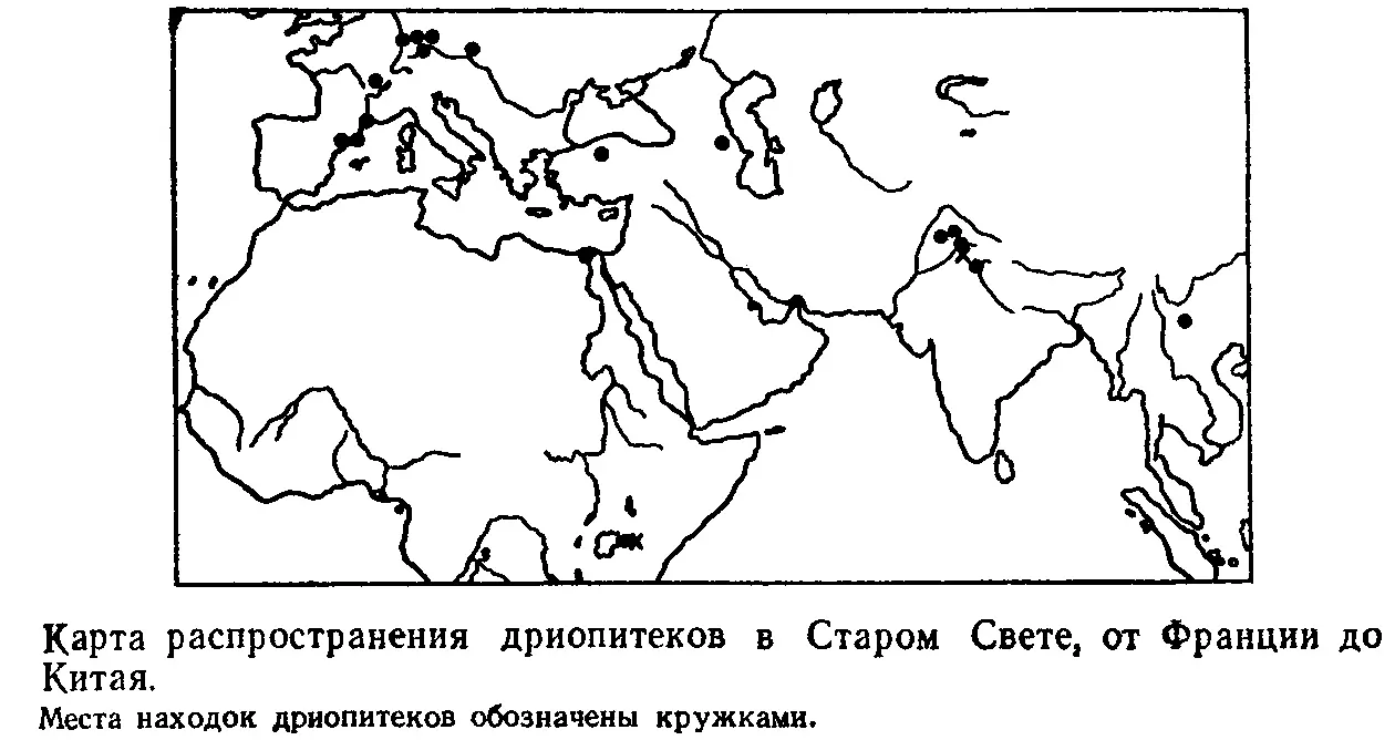 Карта распространения дриопитеков в Старом Свете от Франции до Китая Места - фото 3