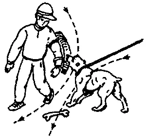Когда собака защищает члена семьи инструктор действует примерно так же Во - фото 49