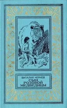 Виталий Чернов - Сын Розовой Медведицы. Фантастический роман