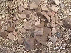 Рис 216 Коллективный улов на склоне Эль Торо Через несколько часов - фото 226