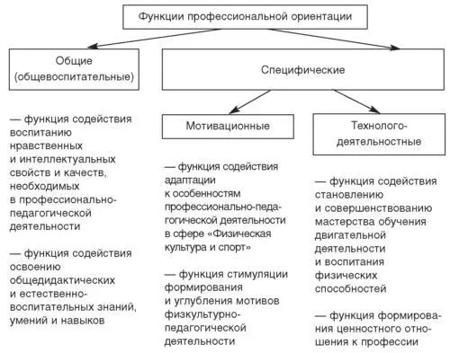 Рис 5 Функции профессиональной ориентации Воздействие профессиональной - фото 24