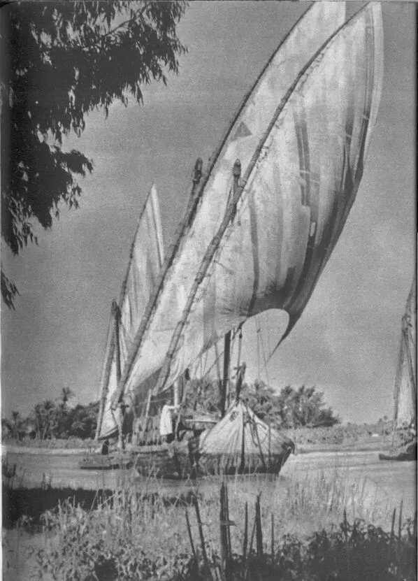 Там за окнами арабского мира с заходом солнца началась жизнь Рамадан не - фото 22