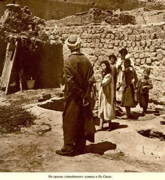 Африка грёз и действительности Том 1 все фотографии - фото 25