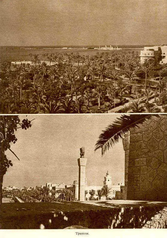 Африка грёз и действительности Том 1 все фотографии - фото 31