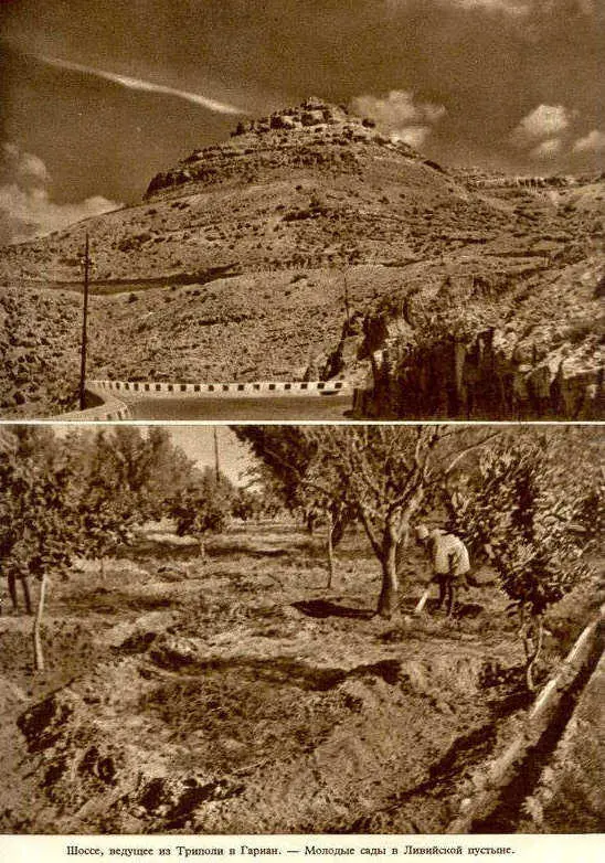 Африка грёз и действительности Том 1 все фотографии - фото 41