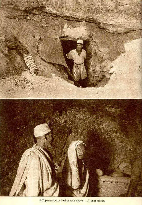 Африка грёз и действительности Том 1 все фотографии - фото 46