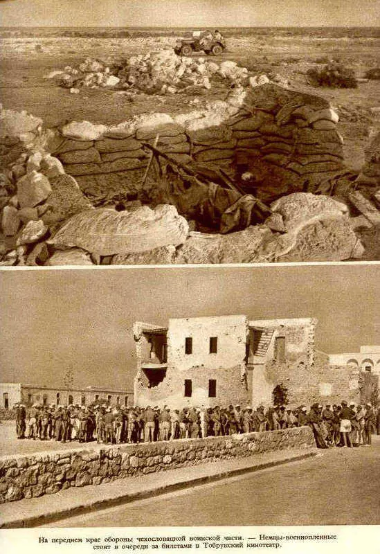 Африка грёз и действительности Том 1 все фотографии - фото 65