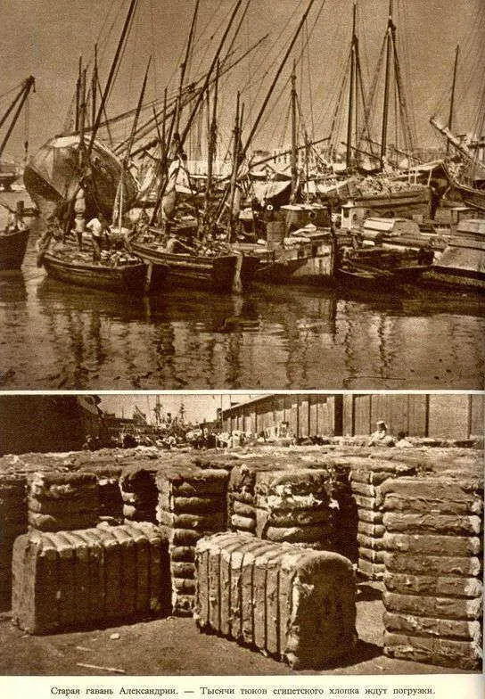 Африка грёз и действительности Том 1 все фотографии - фото 78