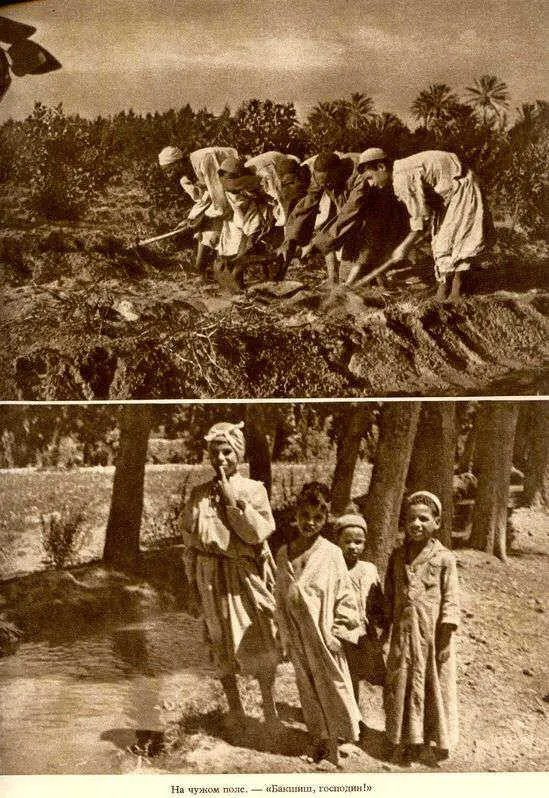 Африка грёз и действительности Том 1 все фотографии - фото 83