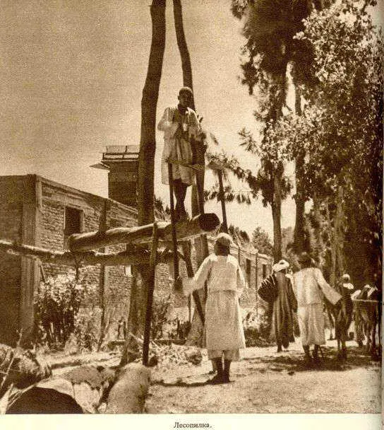 Африка грёз и действительности Том 1 все фотографии - фото 84