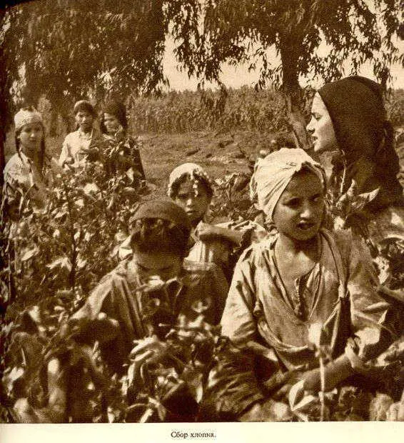 Африка грёз и действительности Том 1 все фотографии - фото 85