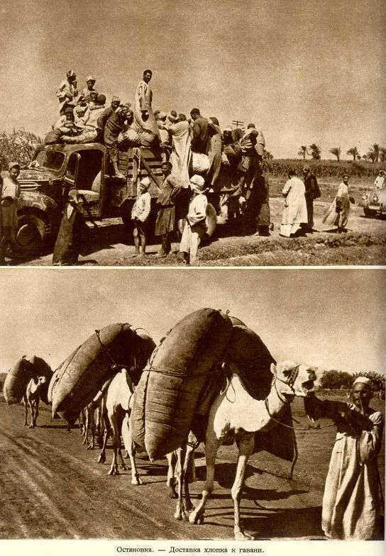 Там за окнами арабского мира с заходом солнца началась жизнь Рамадан не - фото 90