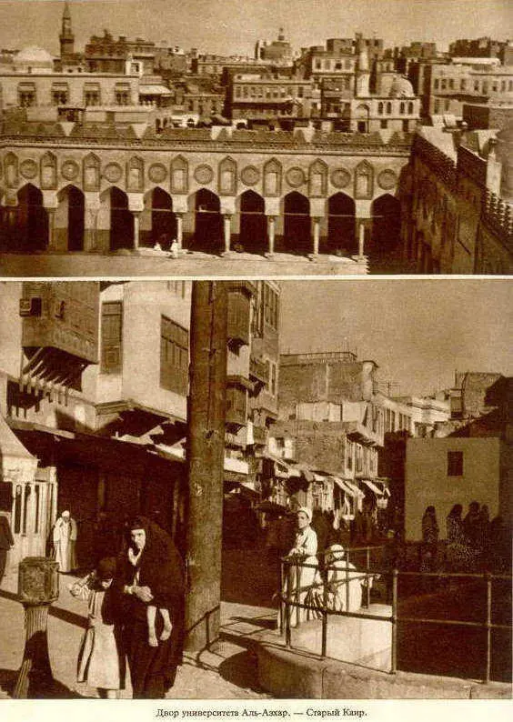 Африка грёз и действительности Том 1 все фотографии - фото 96