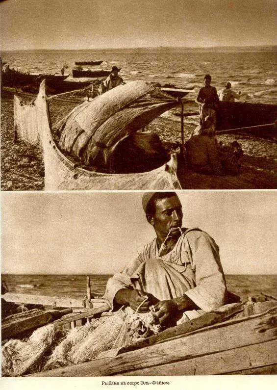 Африка грёз и действительности Том 1 все фотографии - фото 101