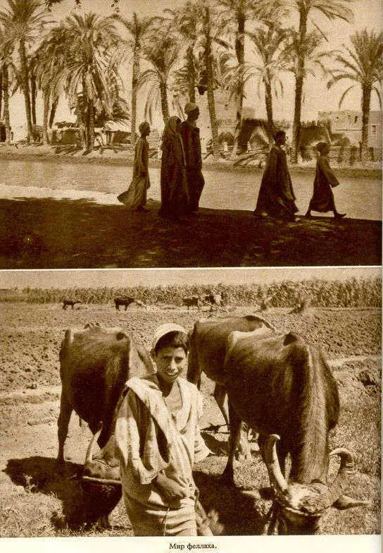 Африка грёз и действительности Том 1 все фотографии - фото 113