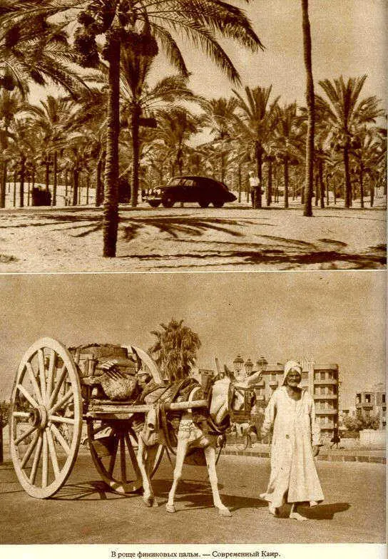 Африка грёз и действительности Том 1 все фотографии - фото 115