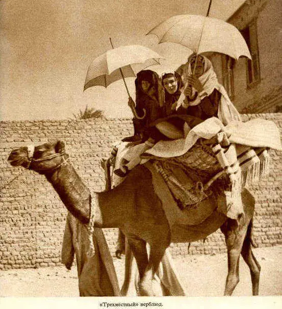 Африка грёз и действительности Том 1 все фотографии - фото 116