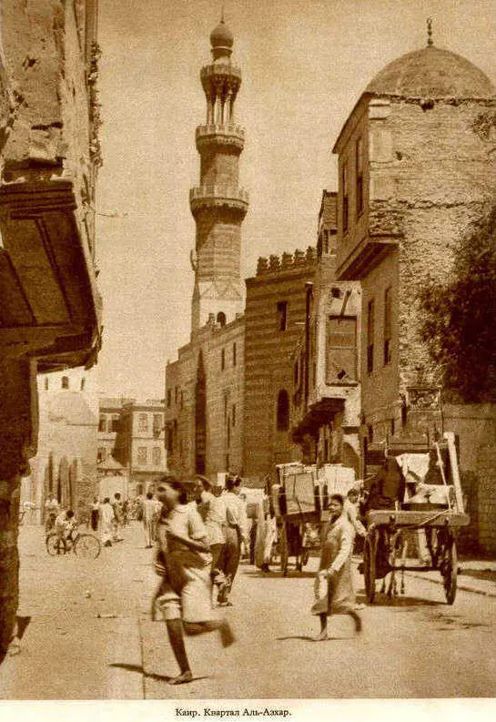 Африка грёз и действительности Том 1 все фотографии - фото 122