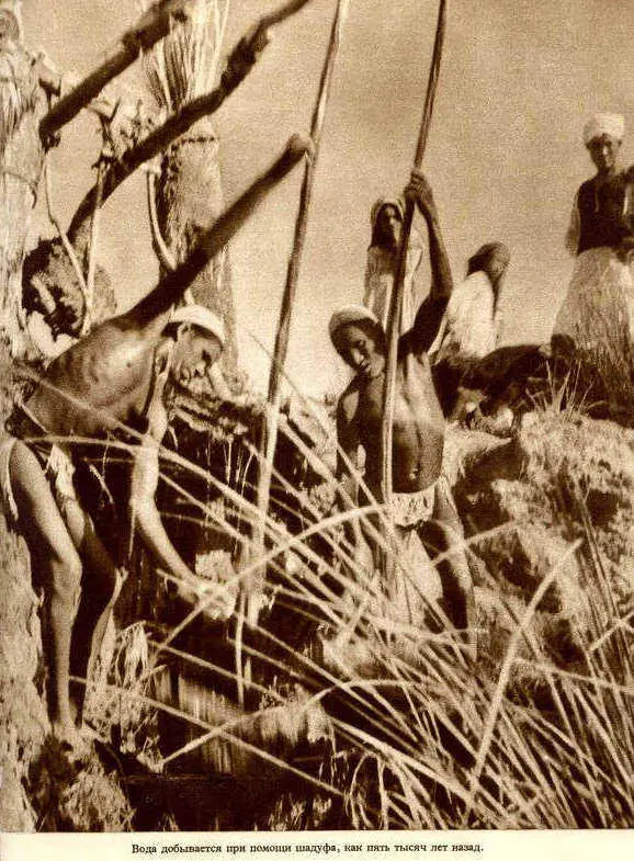 Африка грёз и действительности Том 1 все фотографии - фото 135