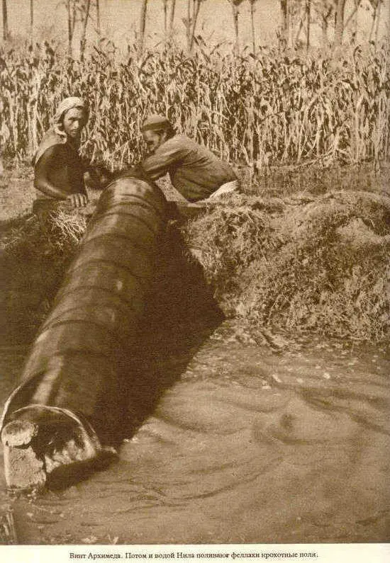 Африка грёз и действительности Том 1 все фотографии - фото 136