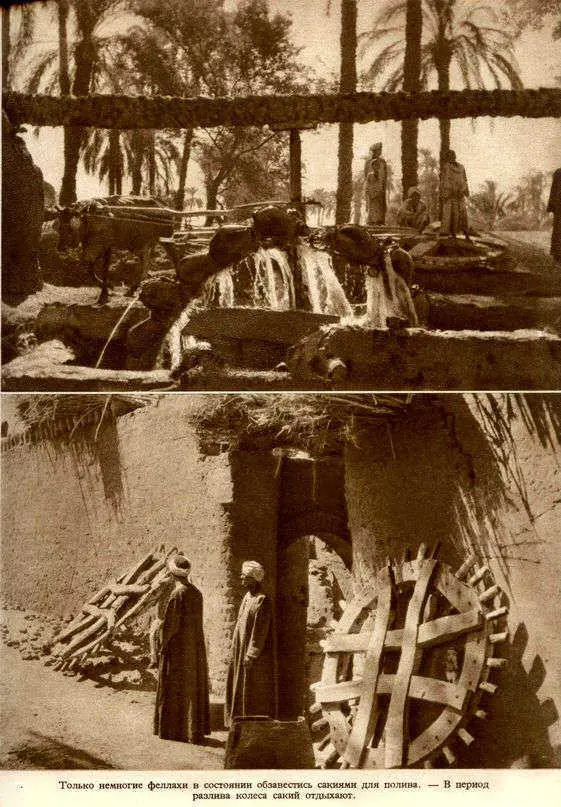 Африка грёз и действительности Том 1 все фотографии - фото 137