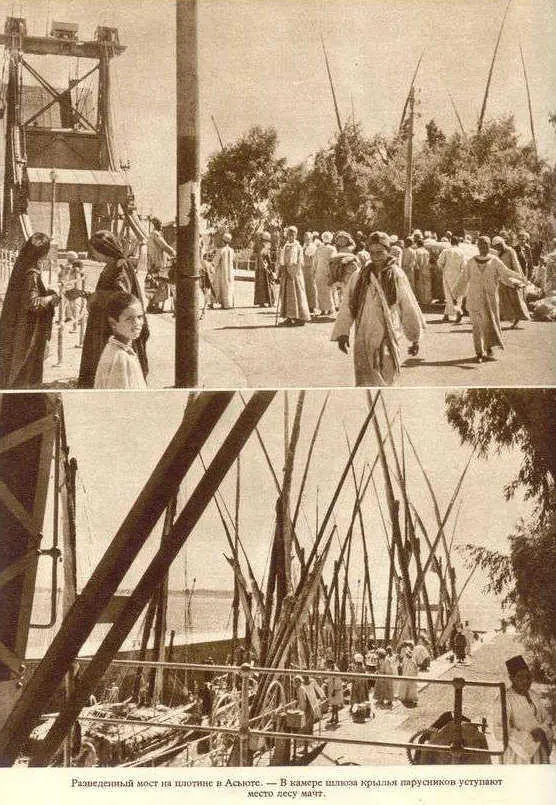 Африка грёз и действительности Том 1 все фотографии - фото 138