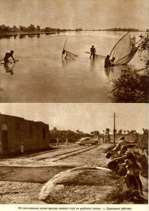 Африка грёз и действительности Том 1 все фотографии - фото 140