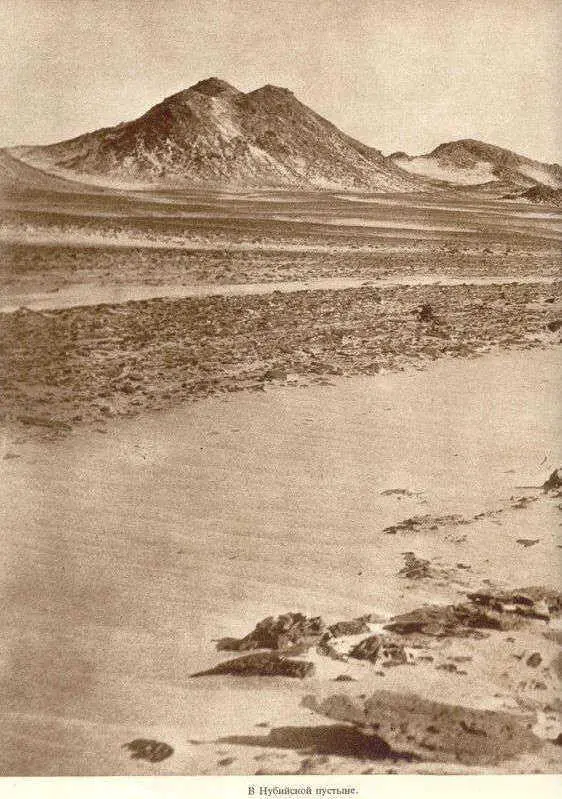 Африка грёз и действительности Том 1 все фотографии - фото 161