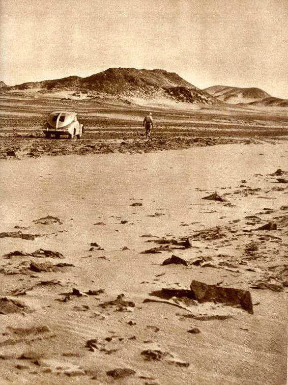 Африка грёз и действительности Том 1 все фотографии - фото 162