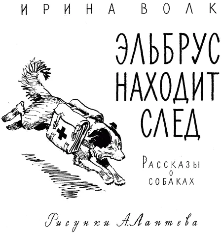 Ирина Волк Эльбрус находит след Рассказы о собаках ОТ АВТОРА В Москве в - фото 1