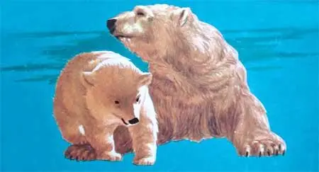 Фрам полярный медведь - фото 92