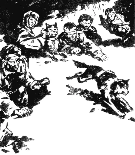 1 Глубокая суровая осень 1941 года В те дни на полях Подмосковья происходило - фото 6