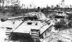 САУ Фердинанд вооруженный 88мм орудием РаК 43 Лето 1943 г - фото 61