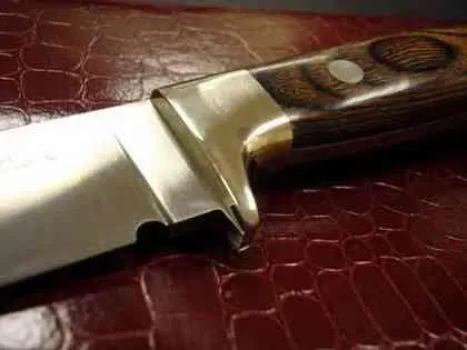 Гарда Drop Hunter Еще раз хочу подчеркнуть что все лезвие накладки - фото 527