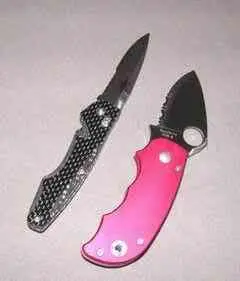 Demented are go Spyderco ENDURA Clipit Модель C10PSBK Автор Николай ник - фото 910