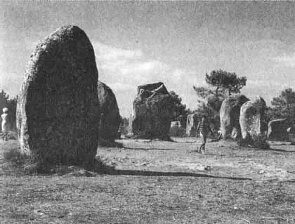 Каменный век был иным - фото 57