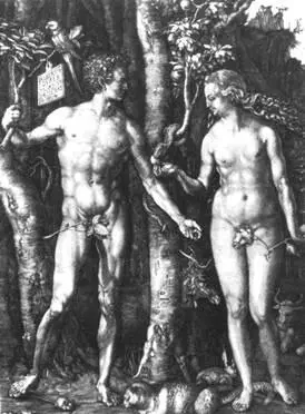 Адам и Ева Гравюра на меди 1504 План одного из разделов книги 5 1 О - фото 1
