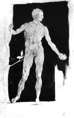 Фигура Адама Рисунок пером и кистью 1507 г Наброски к предисловию книги о - фото 2