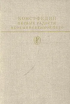 Константин Федин - Первые радости