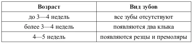 У мелких пород собак время прорезывывания молочных зубов начинается позже - фото 38
