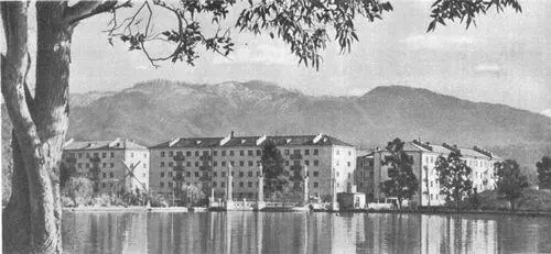 Аджарская АССР Жилые дома в районе Пионерского парка в Батуми Конец 1950х - фото 25