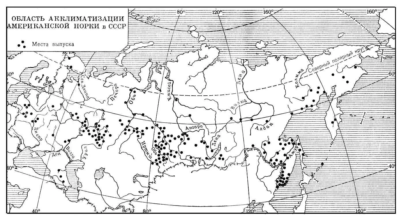Область акклиматизации американской норки в СССР Область акклиматизации - фото 30