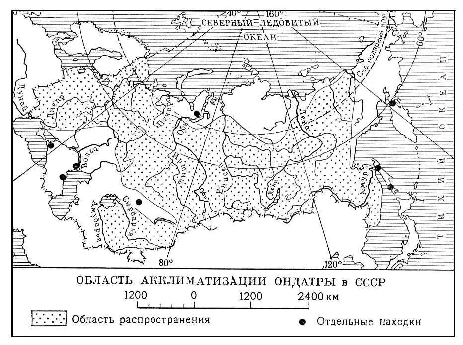 Область акклиматизации ондатры в СССР Акклиматизация человека - фото 31