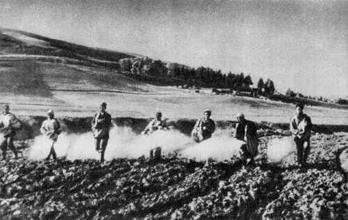 Внесение удобрений под посевы Рынок в г СидиБельАббес 1955 Арх М Ж - фото 132
