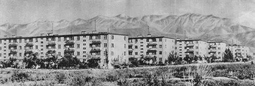 Жилые дома в новом микрорайоне 1962 63 Архитекторы А П Соколов В Б - фото 183