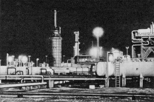 На нефтеразработках ХассиМесауд Рельеф на саркофаге Камень Римское - фото 146
