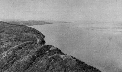 Амур в районе НиколаевсканаАмуре Амур Вдали массив Шаман Амур рыба - фото 84