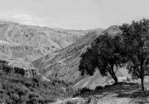 Армения Горный ландшафт Открытие улицы СаятНова в Ереване 1963 Миниатюра - фото 233